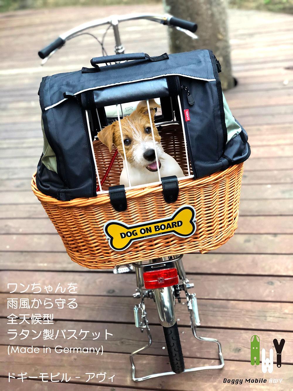 AWY (アヴィ)　20インチ　自転車