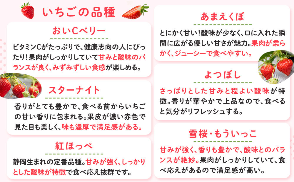 【期間限定】鎌倉産いちご　2パック食べ比べセット（250ｇ～260ｇ×2パック）
