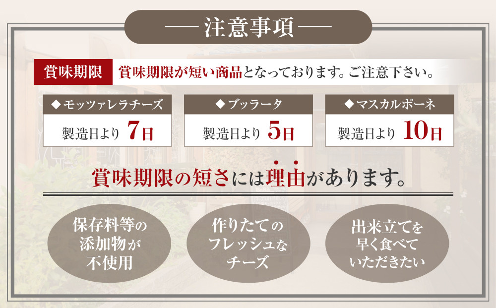 BeBe鎌倉 ジャパンチーズアワード受賞チーズセット＋マスカルポーネ(チーズセットA) ｜ チーズ 乳製品 加工食品 おすすめ モッツァレラチーズ マスカルポーネ ブッラータ チーズセット 人気 食品 フレッシュチーズ ナチュラルチーズ 高級チーズ 詰め合わせ 送料無料 神奈川 鎌倉