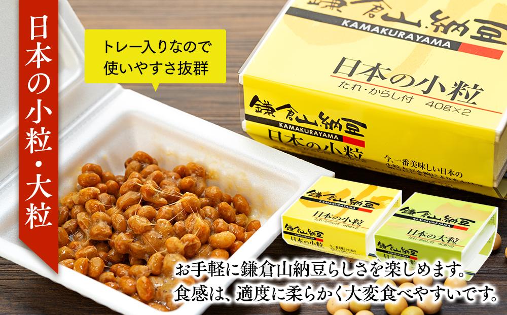 鎌倉山納豆　ふるさとセット | 納豆  人気 おすすめ  国産大豆 セット 健康 発酵食品 ギフト プレゼント 送料無料 神奈川 鎌倉