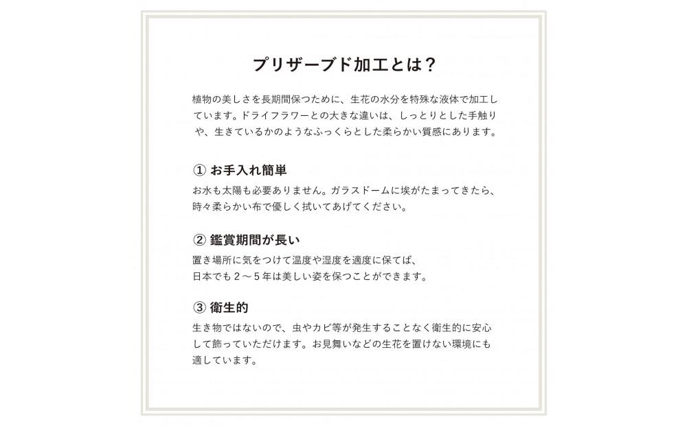 ナチュラル・ホワイト_プチ・てのリウム [φ50mm]《プリザーブド苔テラリウム》