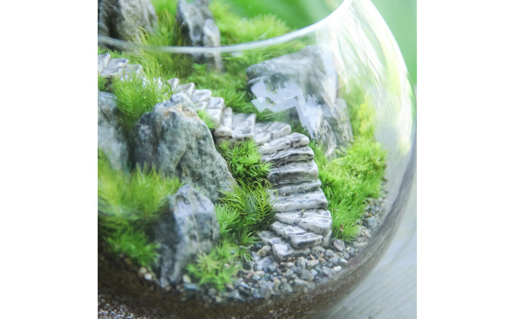 《苔テラリウム・コケリウム》階段の風景 ボウルLL