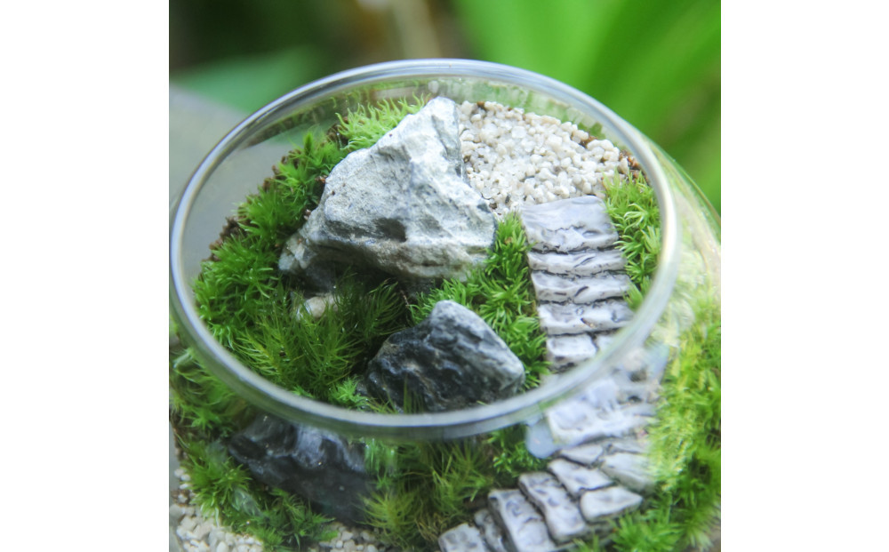 《苔テラリウム・コケリウム》階段の風景 ボウルL