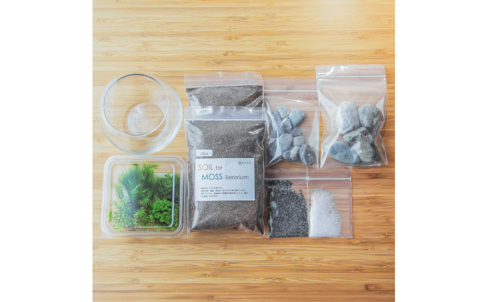 【渓流編】苔テラリウム制作キット（ツール付き）