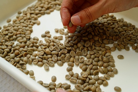 鎌倉りっしん洞こだわりのスペシャルティ珈琲ギフト | コーヒー ギフト スペシャルティ こだわり 美味しい 贈答 人気 おすすめ 送料無料 神奈川 鎌倉