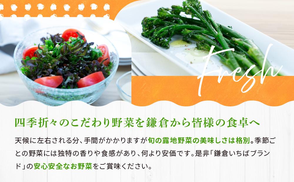【3ヶ月毎計4回 定期便】四季を味わえる「鎌倉いちばブランド」新鮮お野菜詰め合わせセット ｜ 人気 野菜 詰合せ 詰め合わせ セット 新鮮野菜 詰め合わせセット 野菜セット 季節の野菜 鎌倉野菜 地元産 お取り寄せ おすすめ 送料無料 神奈川 鎌倉