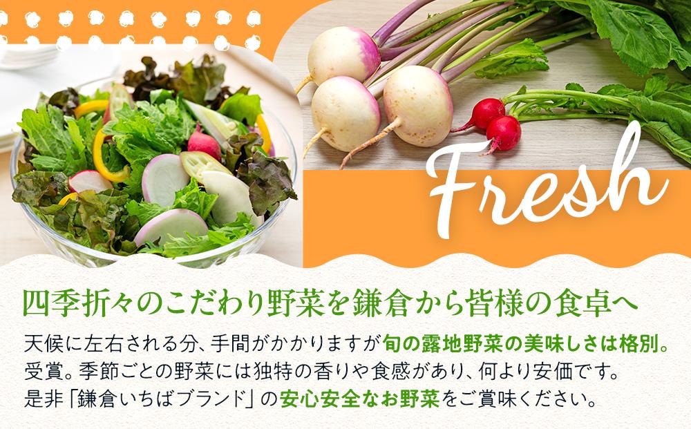 「鎌倉いちばブランド」新鮮お野菜詰め合わせセット  6～8品 ｜ 人気 野菜 詰合せ 詰め合わせ セット 新鮮野菜 詰め合わせセット 野菜セット 季節の野菜 鎌倉野菜 地元産 お取り寄せ おすすめ 送料無料 神奈川 鎌倉