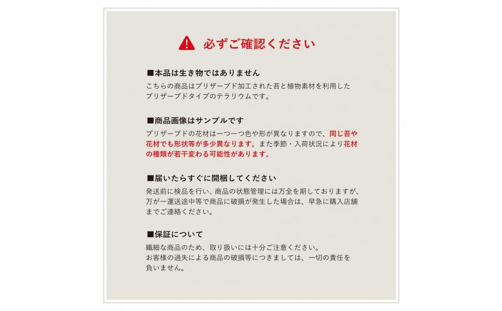 フォレストラベンダー_プチ・てのリウム [φ50mm]《プリザーブド苔テラリウム》