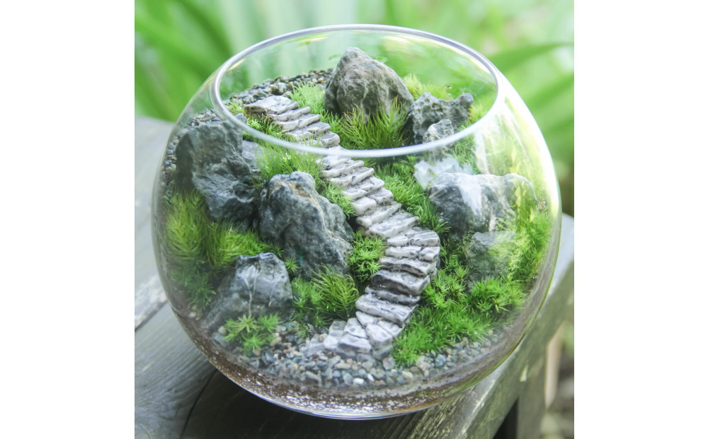 《苔テラリウム・コケリウム》階段の風景 ボウルLL