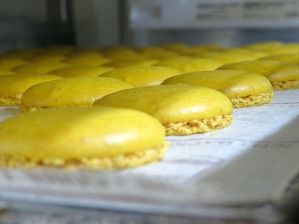 グランディールアンサンブル 　ケークオショコラオランジュ（1本）・マカロン（8個）セット | スイーツ マカロン ケーキ セット 人気 おすすめ 洋菓子 ショコラ ギフト プレゼント 送料無料 神奈川 鎌倉