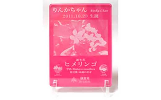 鎌倉市公園協会「プレミアム誕生花プレート」