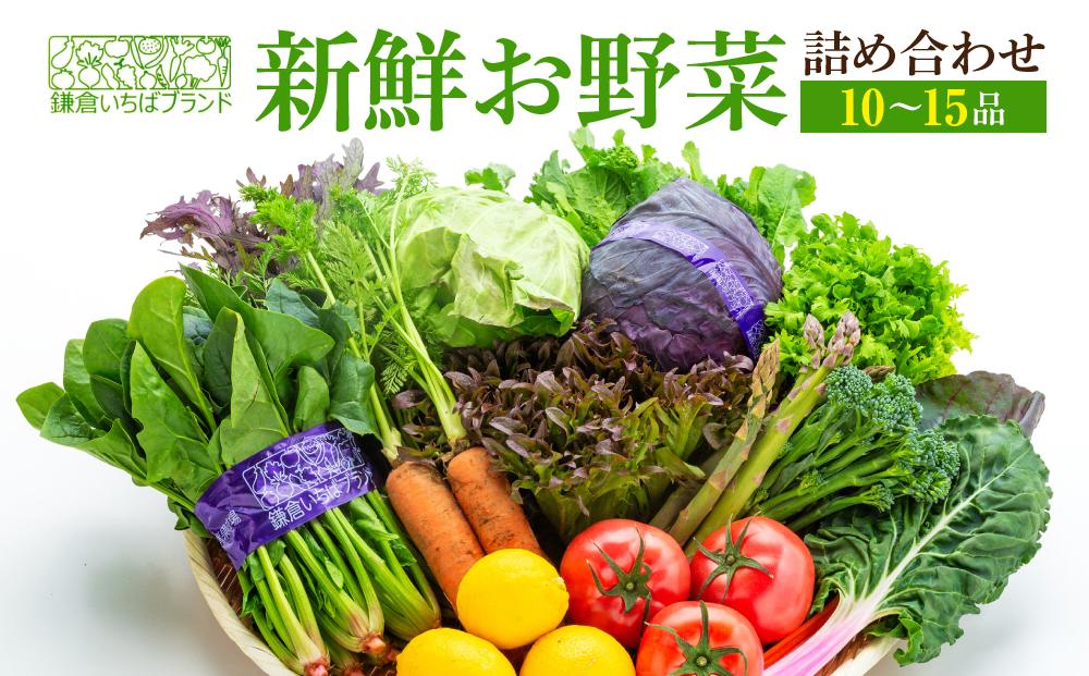 「鎌倉いちばブランド」新鮮お野菜詰め合わせセット 10～15品 ｜ 人気 野菜 詰合せ 詰め合わせ セット 新鮮野菜 詰め合わせセット 野菜セット 季節の野菜 鎌倉野菜 地元産 お取り寄せ おすすめ 送料無料 神奈川 鎌倉