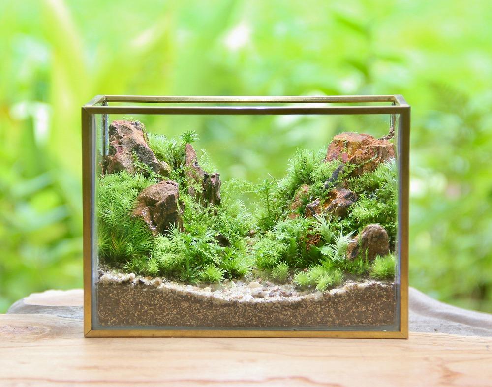 《苔テラリウム・コケリウム》山岳の風景 メタルフレーム L | インテリア 苔テラリウム 自然 アート 人気 おすすめ 観葉植物 癒し ギフト プレゼント インテリア雑貨 送料無料 神奈川 鎌倉