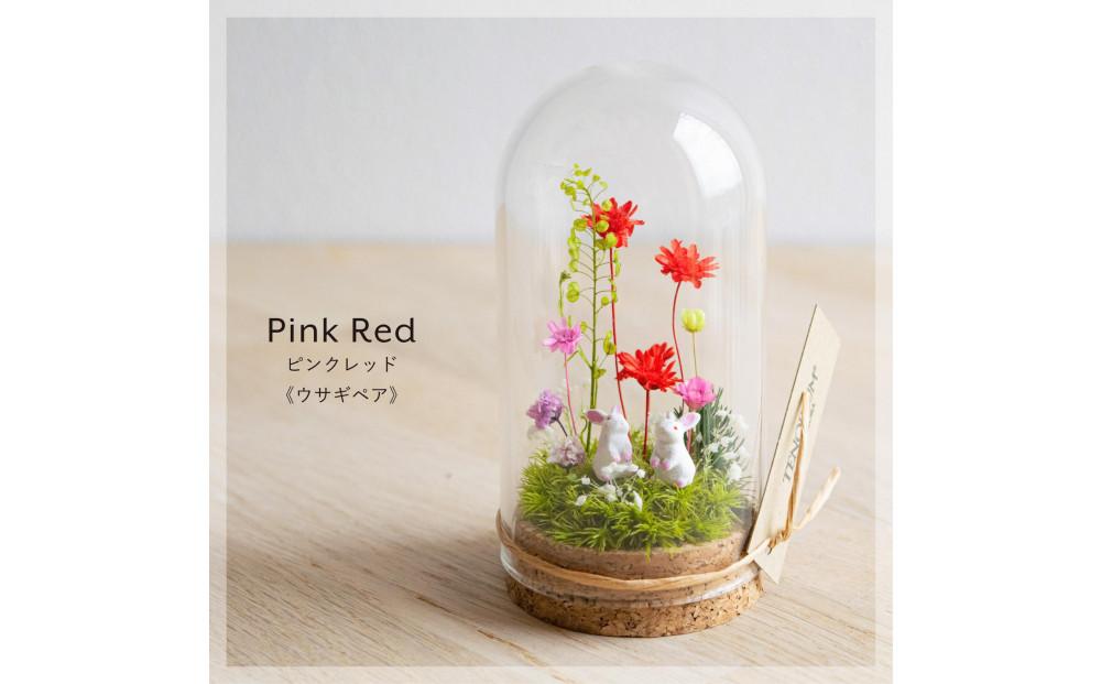 ピンクレッド_プチ・てのリウム [φ50mm]《プリザーブド苔テラリウム》