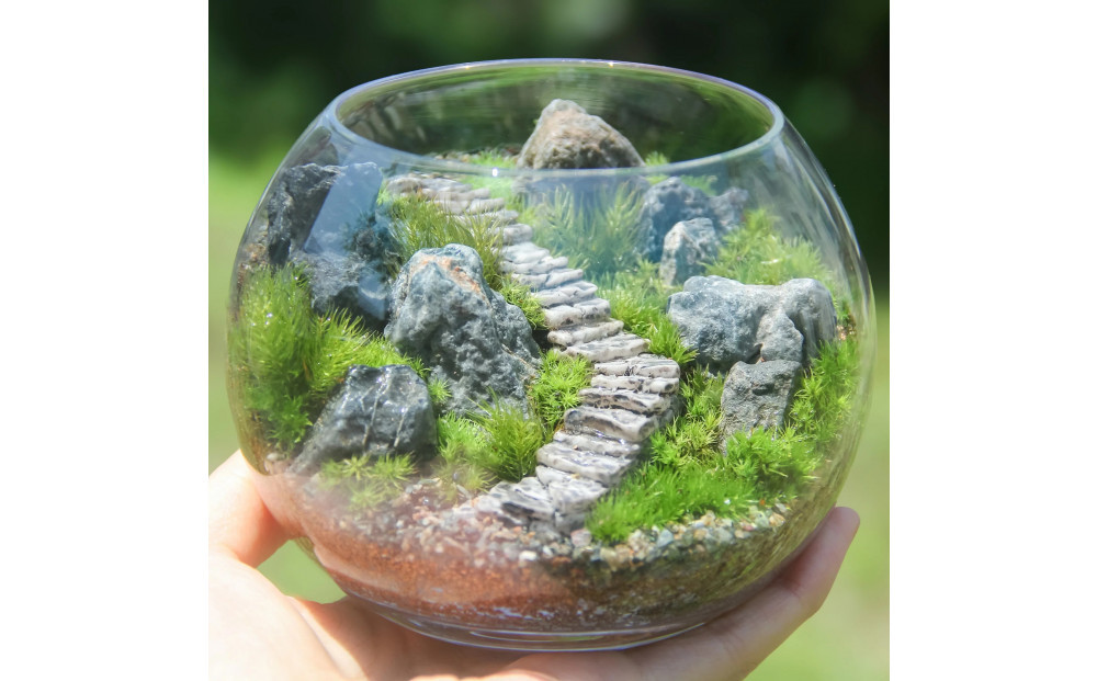 《苔テラリウム・コケリウム》階段の風景 ボウルLL