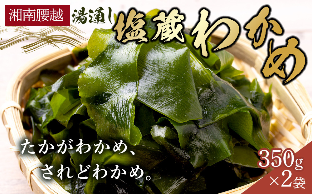 【湘南腰越名産！】湯通し「塩蔵わかめ」350g×2袋