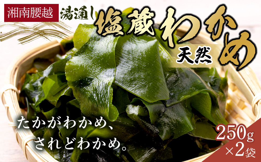 【湘南腰越名産！】湯通し「天然塩蔵わかめ」250g×2袋