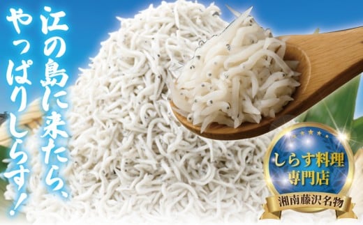 食事券 しらす問屋とびっちょ お食事券 1名様分 江の島