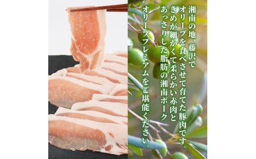 豚肉 藤沢産 湘南ポーク オリーブプレミアム ローススライス2Pと挽肉2P、味噌漬け8枚セット