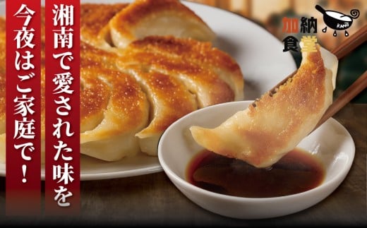 ぎょうざ 餃子 50個 肉汁 旨い パック 豚肉 ぶた 野菜 焼き餃子 水餃子  国産豚  豚肉 野菜 ギョーザ gyouza 冷凍餃子 冷凍ぎょうざ ぶたにく 生餃子 冷凍 ご飯 おかず 夕食 おつまみ 晩酌 簡単調理 時短 簡易包装 手作り餃子 冷凍 冷凍食品 中華 加納食堂 神奈川 湘南 藤沢