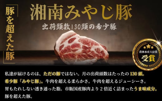 みやじ豚 1kgセット 国産ぶたにく冷蔵 ひき肉 ブタニク神奈川 湘南 藤沢