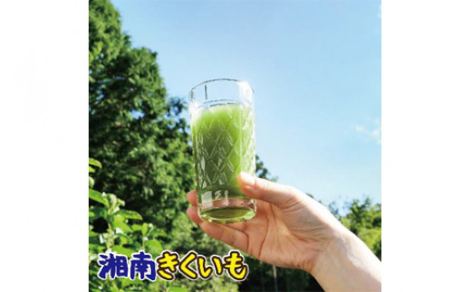 湘南ご当地青汁【湘南きくいも】きくいも青汁30包×2個、菊芋チップスのセット