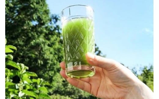 【合計9品/菊芋製品入】湘南からのおまかせ健康セット（旬の農薬不使用野菜7品＋菊芋加工品2品）