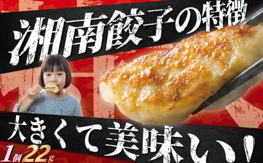  餃子 25個 春巻き 10本 ラーメン 1食 セット 中華大新 gyoza ぎょうざ ギョーザ