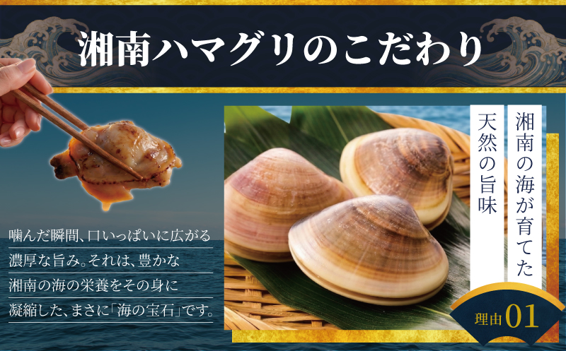 【3月発送】 はまぐり 蛤 大粒 約 1.4kg 砂抜き 済み  LLサイズ ハマグリ 湘南はまぐり 冷凍 魚介 魚貝 冷凍 海鮮 水産加工品 水産品 海産物 魚 貝 だし ダシ 出汁 味噌汁 酒蒸し グラタン お吸い物 網焼き バーベキュー BBQ 貝 kai hamaguri  江の島 江ノ島 神奈川 湘南 藤沢