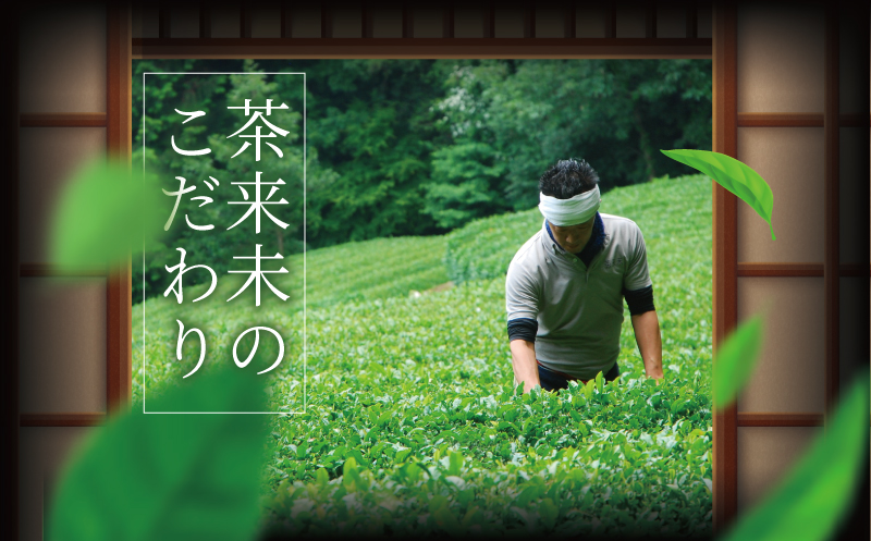 煎茶アイス 12個 あいす ice おちゃ スイーツ