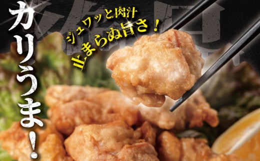 訳あり 唐揚げ 2kg (1個 約50g ) 最大40個 加納食堂 神奈川 湘南 藤沢