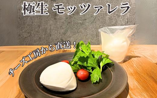 年内発送 ！ ( 12/23決済完了分まで) チーズ モッツァレラ 3種＋ チギチー チーズ 4種セット 極生 魚醤漬け 味噌漬け チギチー モッツァレラチーズ 裂けるチーズ ちーず ナチュラルチーズ cheese ビール おつまみ おやつ 人気 お取り寄せ 贈り物 贈答 Aprotodo’S株式会社 RRAAP BREWERY 神奈川 湘南 藤沢