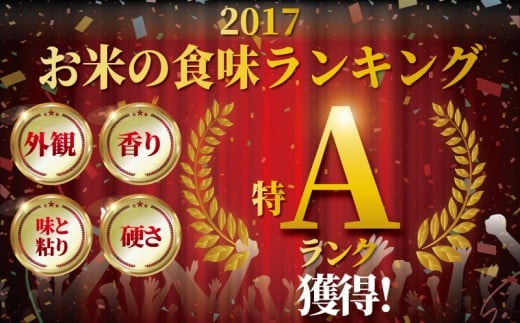 新米 先行予約 特Aランク 米 はるみ 5kg 令和8年 10月以降 順次発送 こめ 令和8年度産 甘い ツヤ キヌヒカリ コシヒカリ こしひかり しんまい kome ※ お米 白米 ご飯 ごはん 弁当 お弁当 おにぎり はくまい 精米 ブランド米 農家直送 数量限定 産地直送 藤沢洋蘭 神奈川 湘南 藤沢