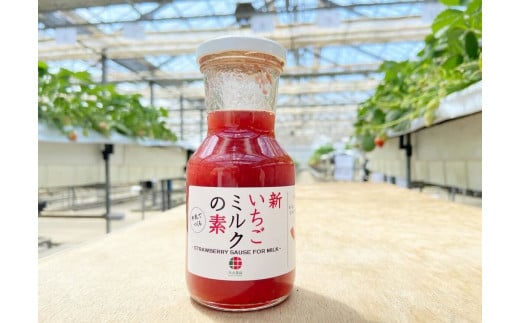 完熟イチゴ の いちごミルク の素 ＆ ぷるぷる 苺の素  セット ジャム ブレンド 