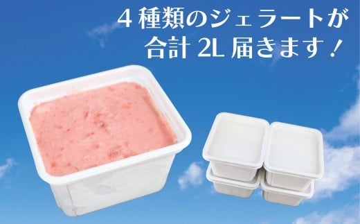 ジェラート 2L 500ml ✕ 4種類 セット 大容量 アイス 卵不使用 おまかせ 詰め合わせ 手作り アイスクリーム あいす じぇらーと スイーツ デザート 果物 野菜 旬 フルーツ プレゼント ギフト 贈答 贈り物 食育 おいしい 人気 安心 こだわり ジェラートファクトリー 神奈川 湘南 藤沢