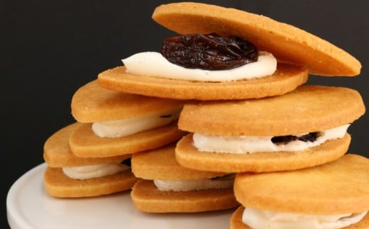 レーズンサンド 10個  ぶどう ブドウ 藤稔  洋菓子  神奈川 湘南 藤沢