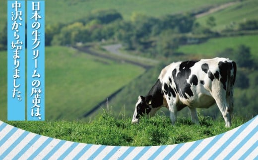 中沢クレームフレーシュ 500g 1本 スイーツ 洋菓子 デザート スイーツ クリーム 原料クリーム 発酵風味 醸成 くりーむ cream 乳酸菌 ソース 煮込み ホイップクリーム カスタードクリーム 料理 原料クリーム 乳製品 発酵風味 発酵クリーム ケーキ 中沢乳業 神奈川 藤沢市 藤沢