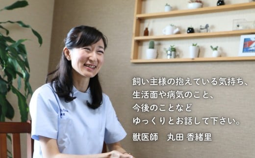 ペットカウンセリング 60分予約券 動物 ペット 飼育 しつけ 獣医  アニマルライフパートナー株式会社 神奈川 湘南 藤沢