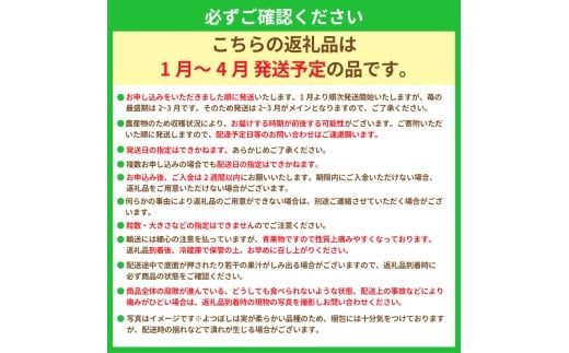 いちご 特別栽培 よつぼし 約 600~700g 先行受付 2026年1月発送開始 2 パック GLOBALG.A.P. 認証 ブランドいちご 苺 イチゴ ストロベリー strawberry 贈答 フルーツ 果物 旬 数量限定 期間限定 産地直送 ichigo リッチフィールド株式会社 湘南 藤沢 神奈川