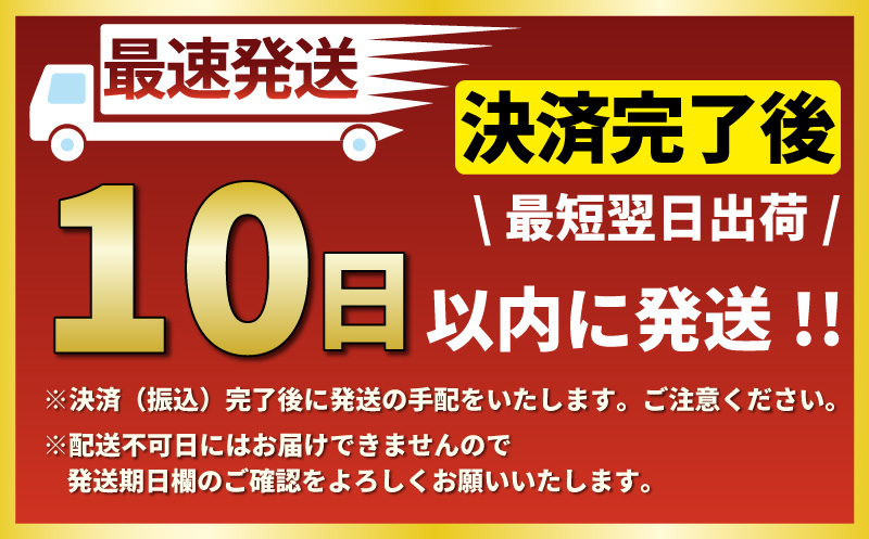 年内発送 ! (12/24 決済完了分まで) 食事券 ハンバーガー Reg-On Diner 鵠沼海浜公園店 3000円 利用券 バーガー 牛肉 ポテト チーズ ボリューム 実力派  江の島 江ノ島 鵠沼 食事券 チケット 観光 旅行 トラベル ランチ ディナー 昼食 夕食 テイクアウト 家族 神奈川 湘南 藤沢 江ノ島 江の島