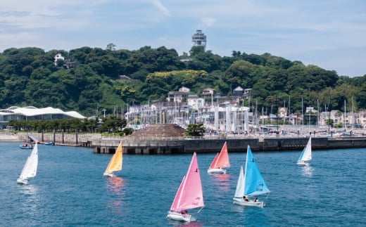 2026年分 ハンザ 小型ヨット体験乗船会 3000円分 大人2名分相当 発送 利用券 セーリング 体験  江の島ヨットハーバー 江の島 江ノ島 エノシマ 観光 マリンスポーツ アクティビティ インストラクター アウトドア ディンギーヨット セイラビリティ江の島 関東 神奈川 湘南 藤沢