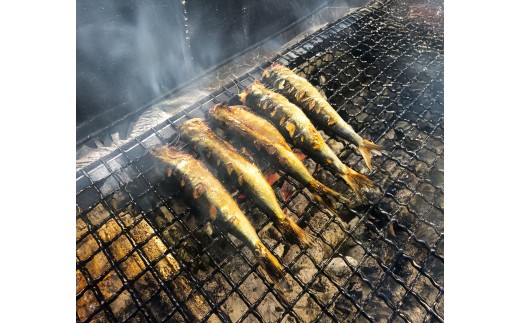 干物  焼いてある ひものセット 【炭火焼】 4種 あじ かます さば いわし