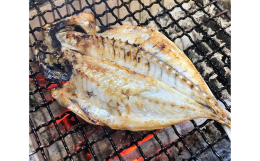 干物 焼いてある ひものセット 【炭火焼き】 5種  あじ かます さば いわし 金目鯛