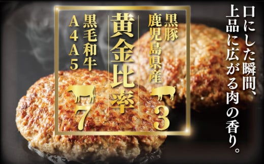 国産 黒毛和牛 鹿児島県豚 ハンバーグ 10個 セット はんばーぐ