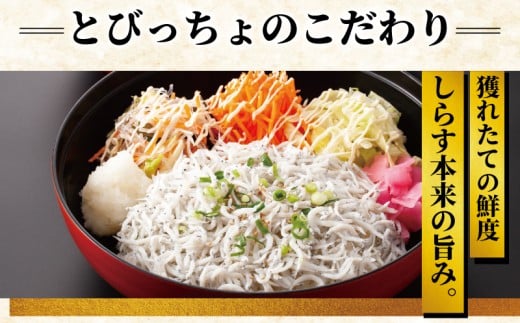 しらす問屋とびっちょ ペアお食事券（2名様1組分）江の島
