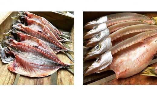 干物 旬の魚 5～6種 ひものセット 国産 
