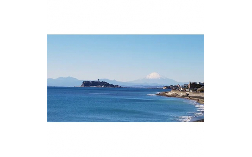 《お洒落なブランド自転車》レンタサイクル1泊2日乗り放題（1台1名様）