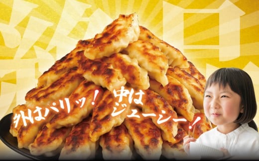 ぎょうざ 餃子 50個 肉汁 旨い パック 豚肉 ぶた 野菜 焼き餃子 水餃子  国産豚  豚肉 野菜 ギョーザ gyouza 冷凍餃子 冷凍ぎょうざ ぶたにく 生餃子 冷凍 ご飯 おかず 夕食 おつまみ 晩酌 簡単調理 時短 簡易包装 手作り餃子 冷凍 冷凍食品 中華 加納食堂 神奈川 湘南 藤沢