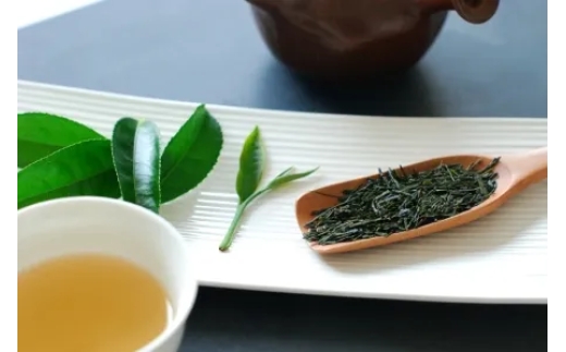 茶葉 お茶 3種 詰め合わせ180g (60g×3種) 煎茶 玉露 御茶 お茶っ葉 ocya ちゃば 茶匠 最高金賞受賞 日本茶 緑茶 茶 高級 高級茶葉 飲み比べ こだわり 国産 静岡県産 旨味 渋み お取り寄せ 贈答 贈り物 ギフト プレゼント 手土産 茶来未 ふるさと納税お茶 神奈川 湘南 藤沢