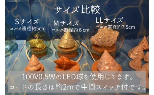 浮き球 シェルランプLL ワークショップ 参加チケット 海 貝殻 ランプ 体験 江の島 江ノ島